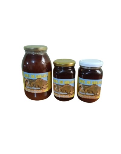 Miel de abejas natural botella completa
