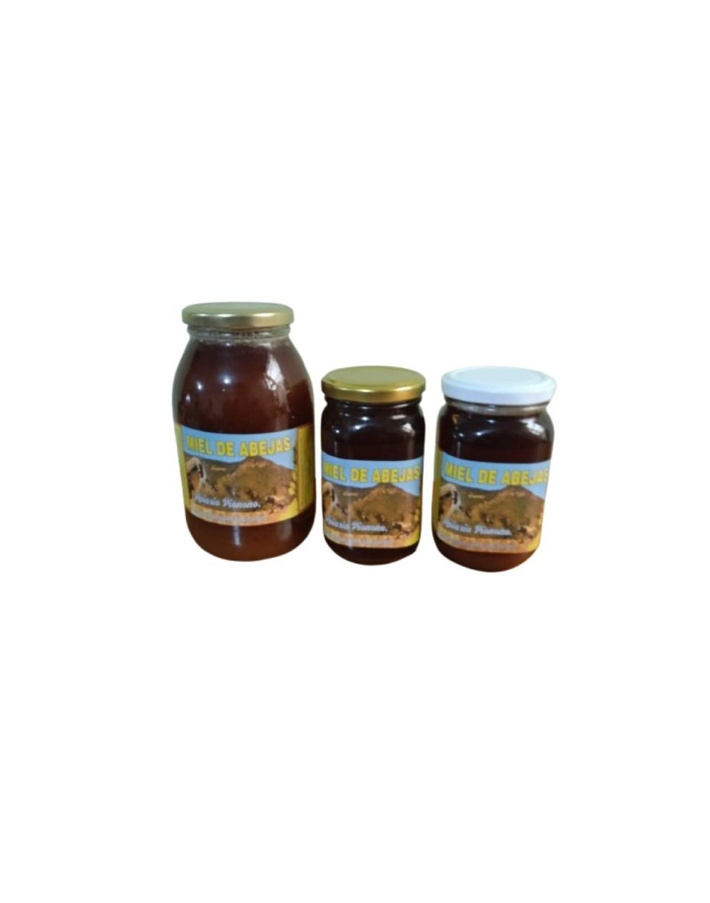 Miel de Abejas Natural media botella