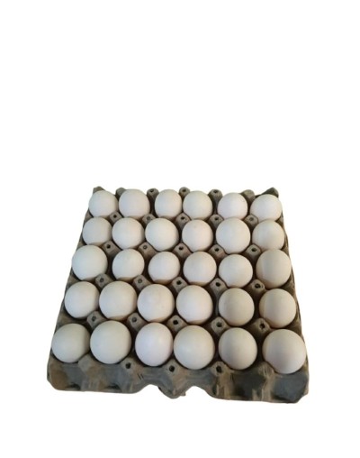Huevos de pata x30 unidades
