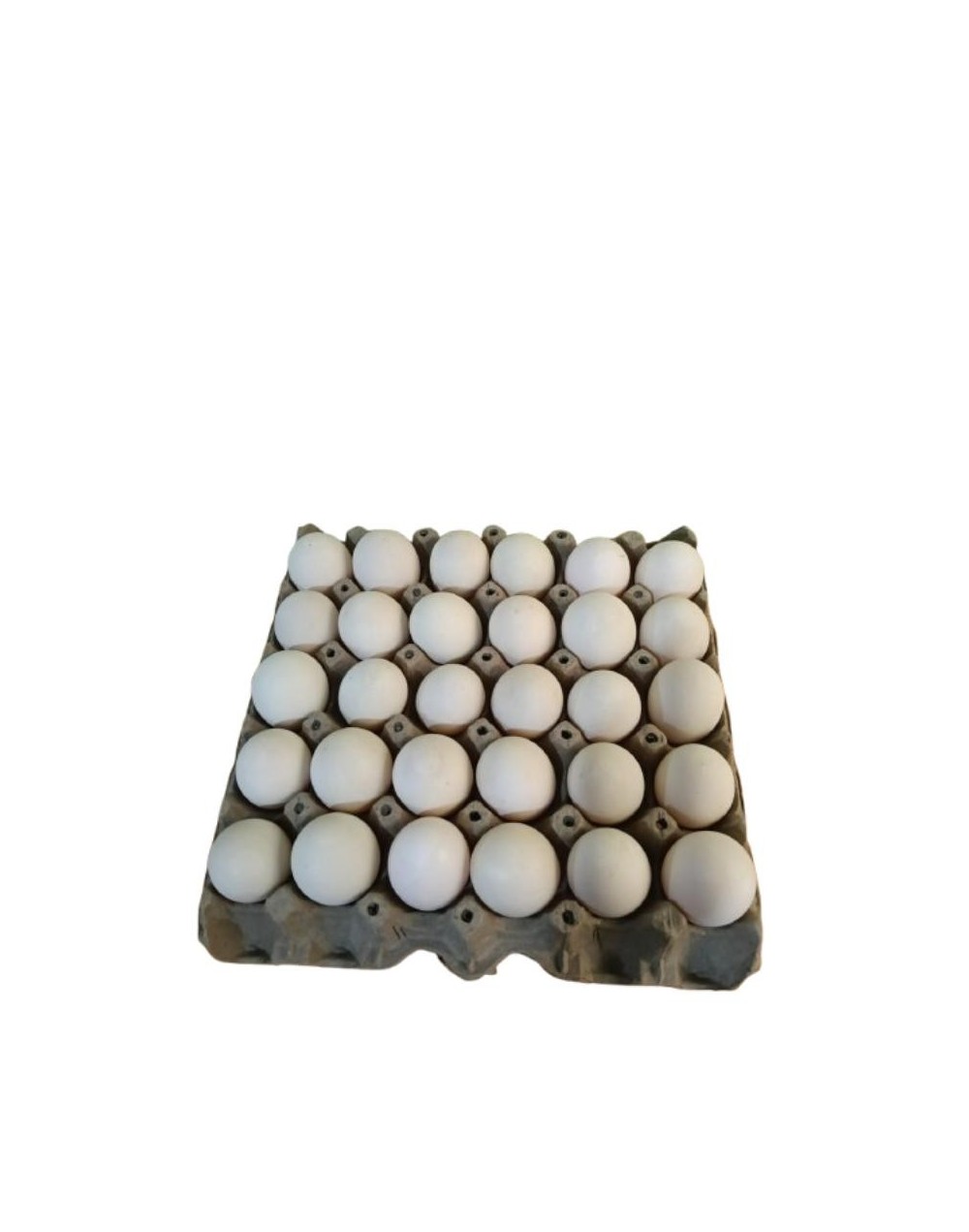 Huevos de pata x30 unidades