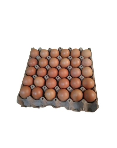 Huevo semi-criollo x 30 unidades