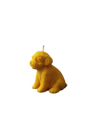 Vela Perro