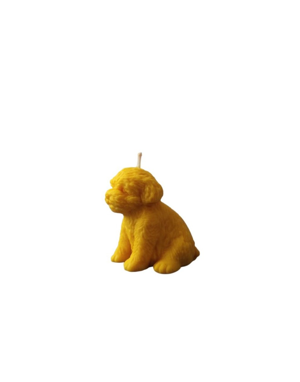 Vela Perro