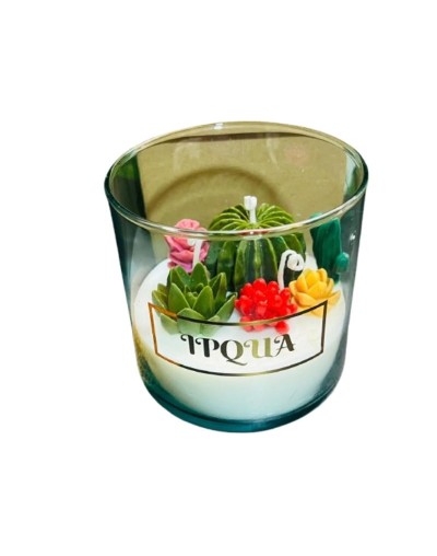 Vela de suculentas en cera de soja aromatizada frasco de vidrio 