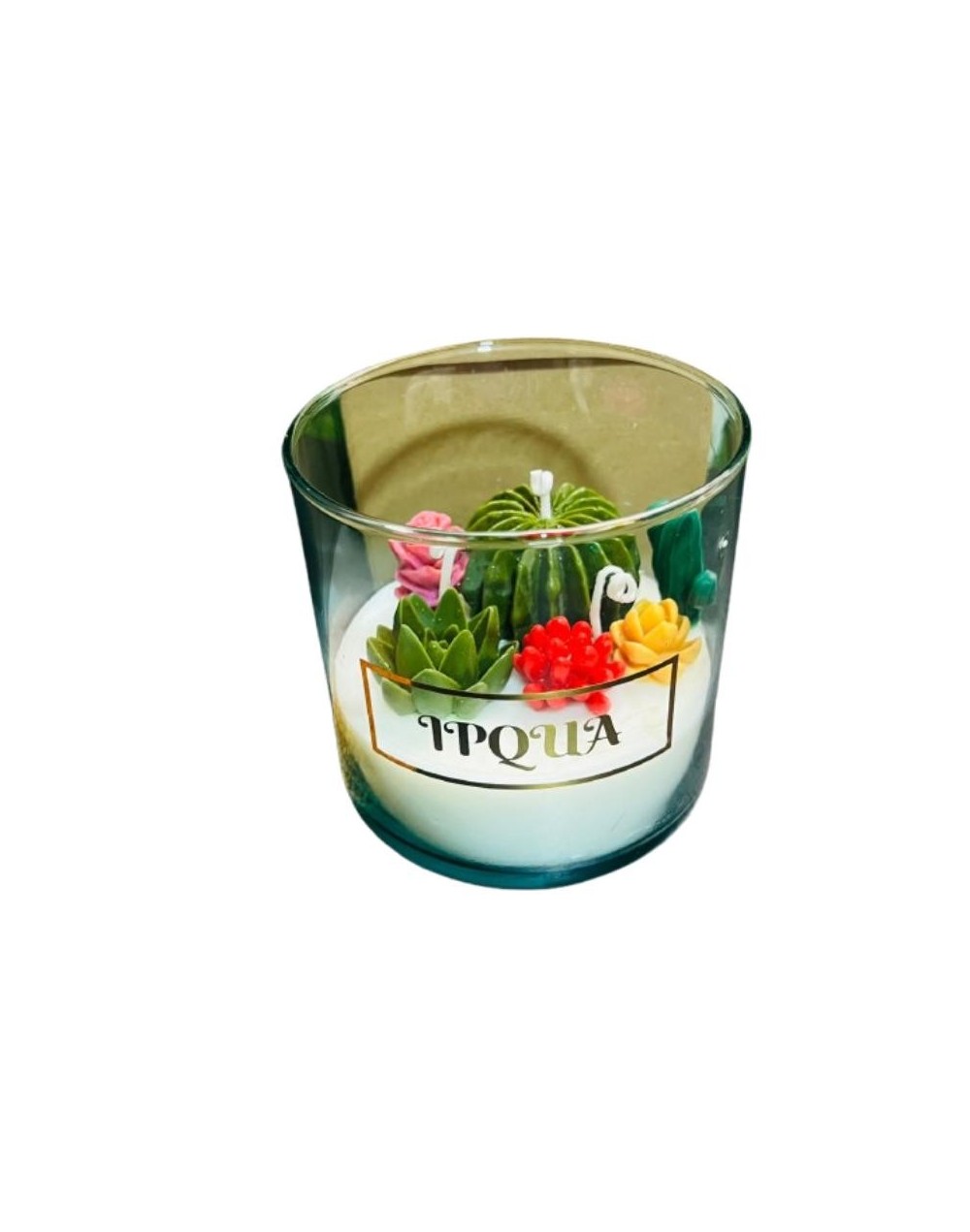 Vela de suculentas en cera de soja aromatizada frasco de vidrio 