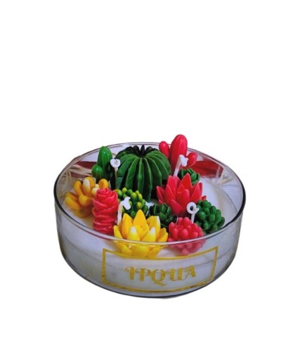Vela de suculentas en cera de soja aromatizada frasco de vidrio 