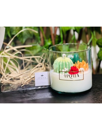 Vela de suculentas en cera de soja aromatizada frasco de vidrio 