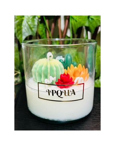 Vela de suculentas en cera de soja aromatizada frasco de vidrio 