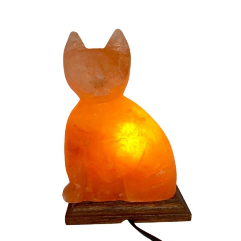 Lámpara sal del Himalaya gato