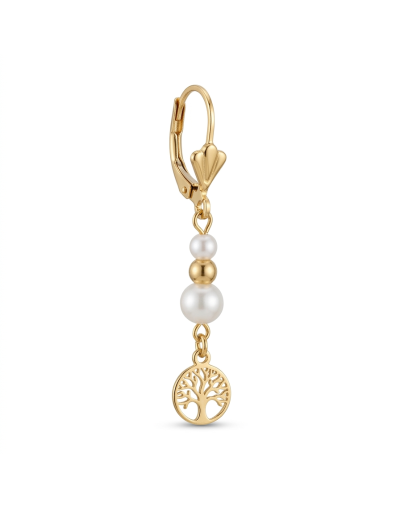 Aretes largo dije vario