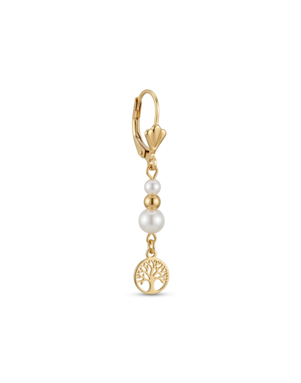 Aretes largo dije vario