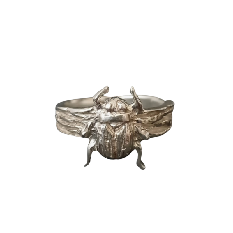 Anillo escarabajo de plata