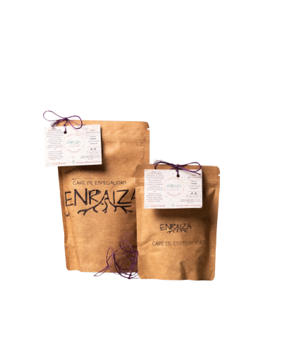 Café de especialidad colombiano Typica  Enraiza
