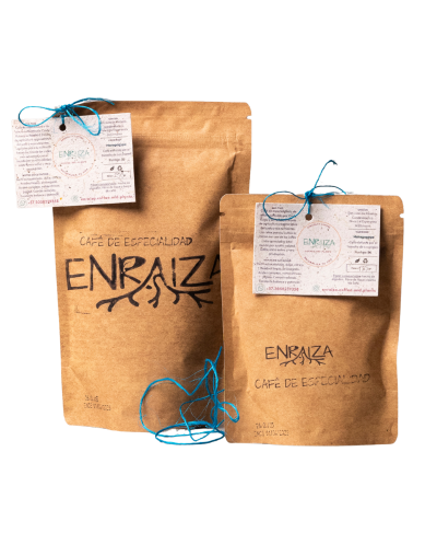 Café Maragogype de especialidad colombiano  Enraiza