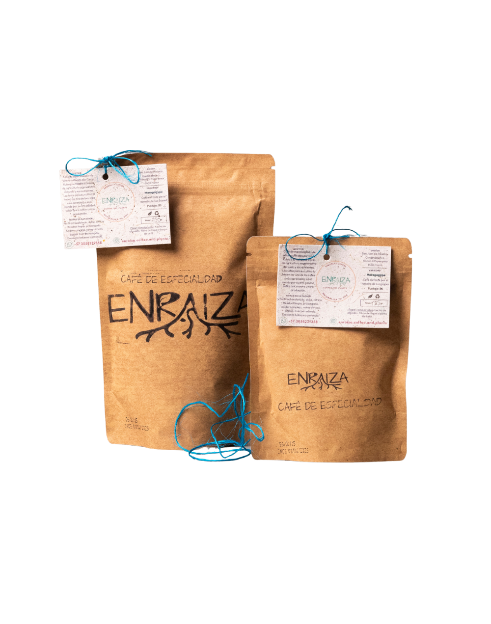Café Maragogype de especialidad colombiano  Enraiza