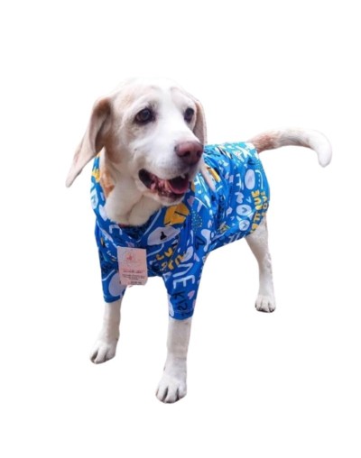 IMPERMEABLES PARA MASCOTAS