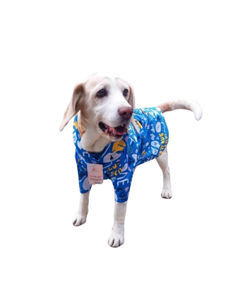 IMPERMEABLES PARA MASCOTAS