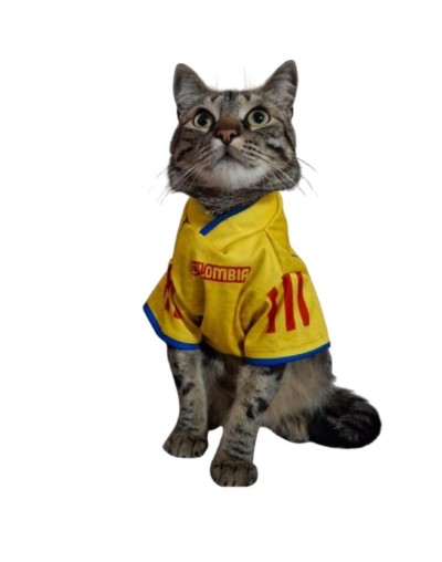 CAMISA COLOMBIA PARA GATOS