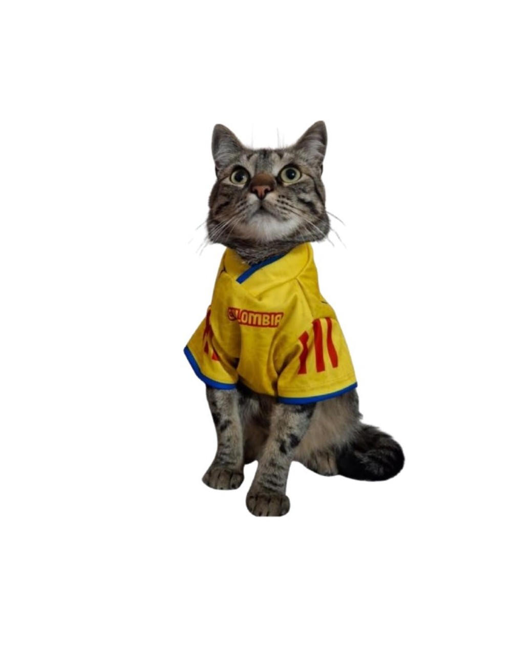 CAMISA COLOMBIA PARA GATOS