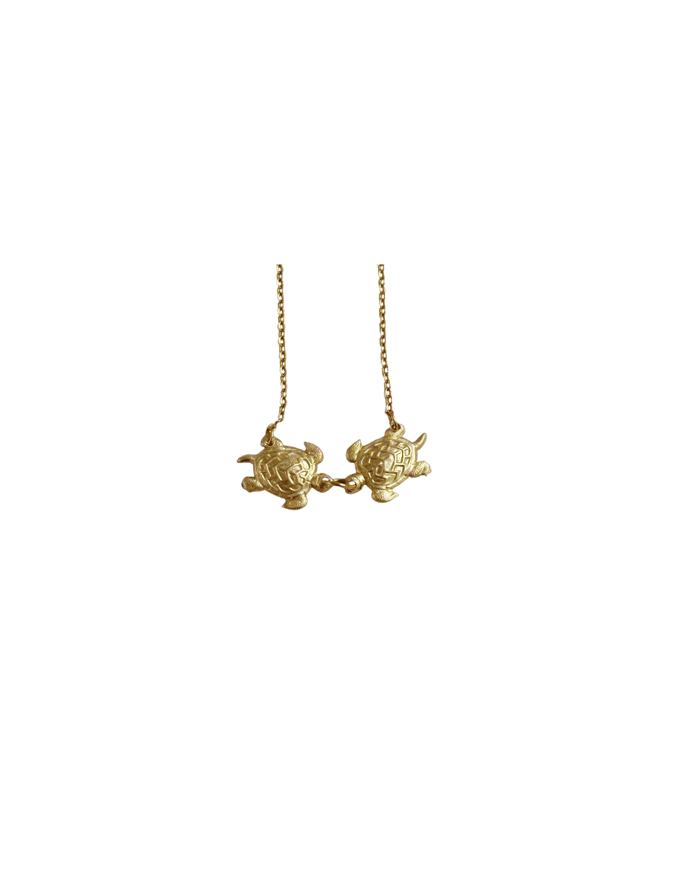 Collar Tortugas