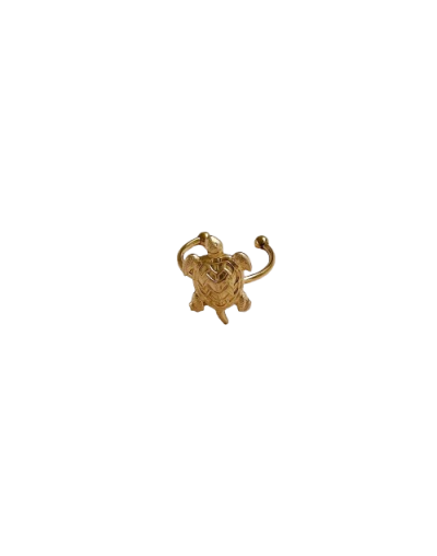 Anillo Tortuga