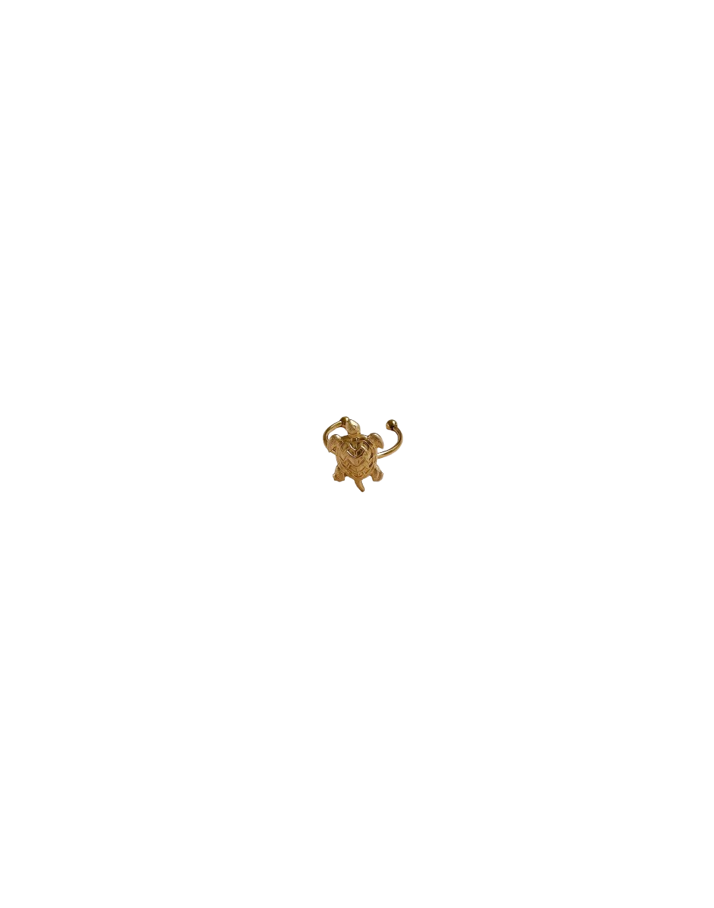 Anillo Tortuga