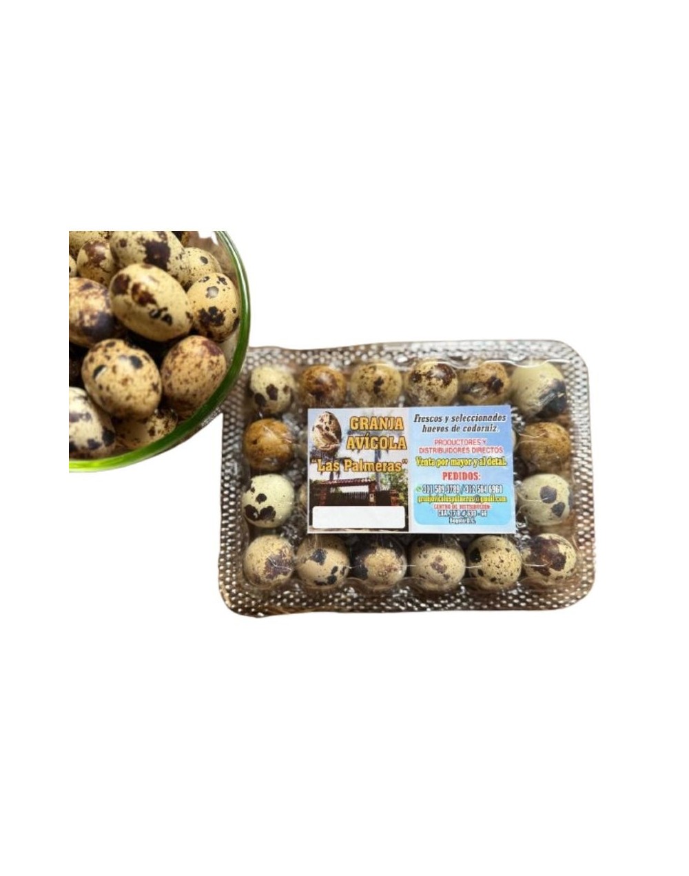 Huevos de codorniz Premium