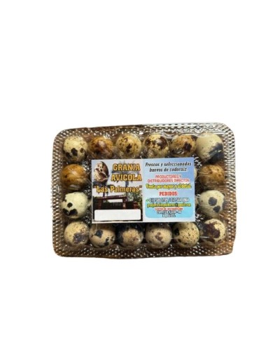 Huevos de codorniz Premium