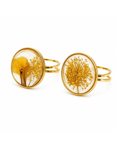 Anillos Alma