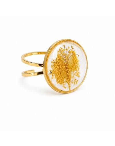Anillos Alma