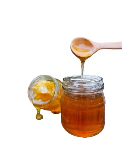 Miel de Abejas "Diente de León" - Wapri Productos Saludables