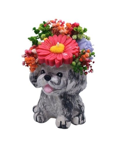 Frensh Poodle Bouquet de Velas