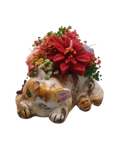 Gato Acostado Bouquet de Velas