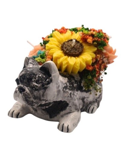 Bull Dog Bouquet de Velas