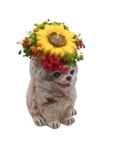 Pomerania Bouquet de Velas