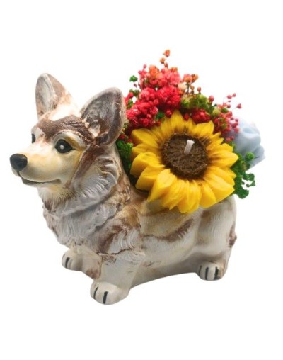 Lobo Bouquet de Velas