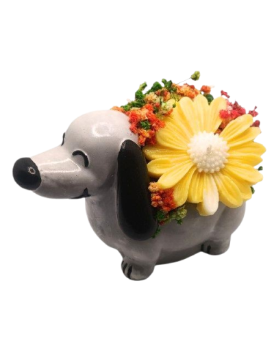 Perro Salchicha Bouquet de Velas