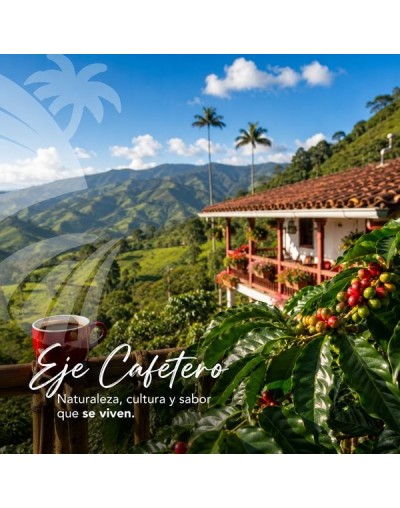paquetes al eje cafetero