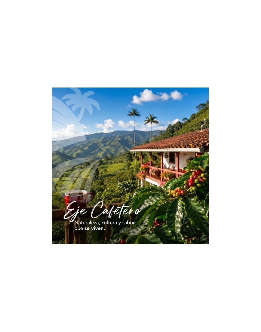 paquetes al eje cafetero