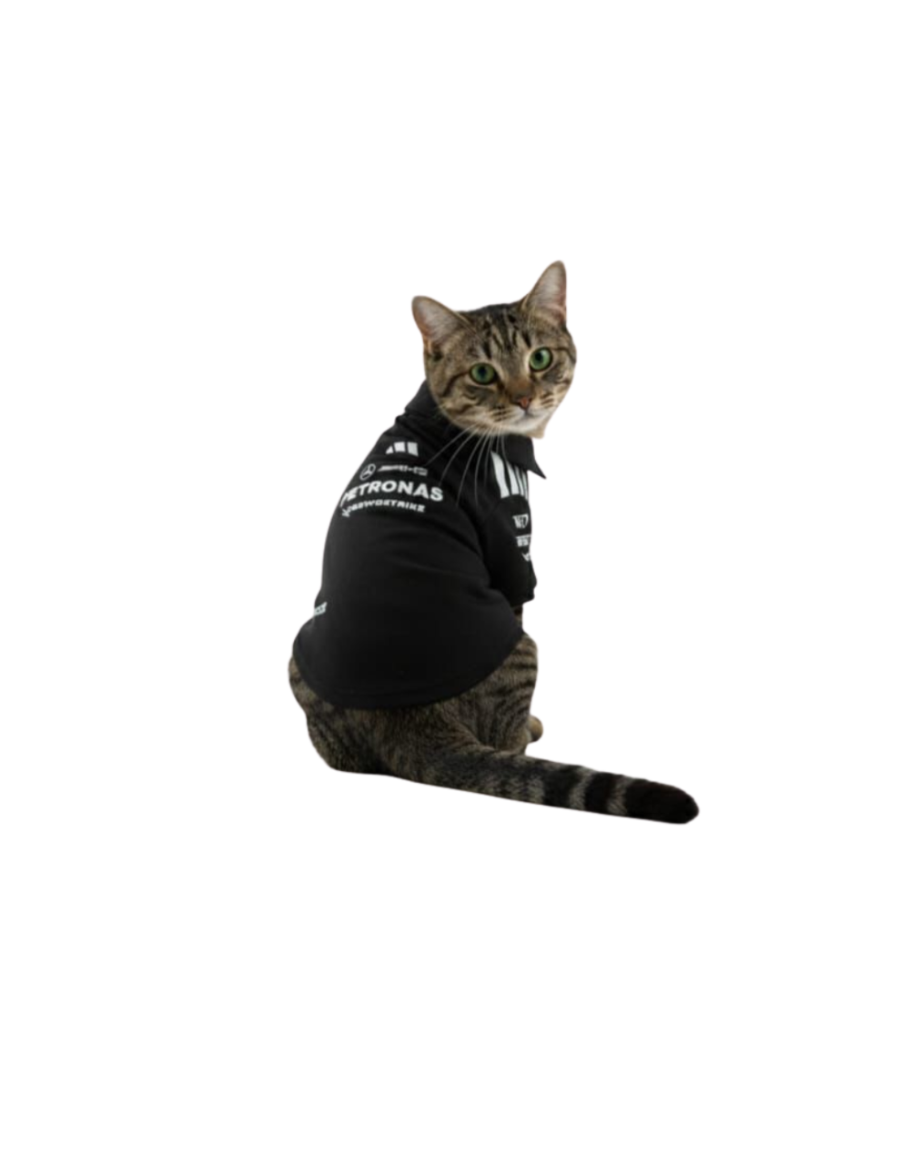 Camisa Polo gatos Mercedes