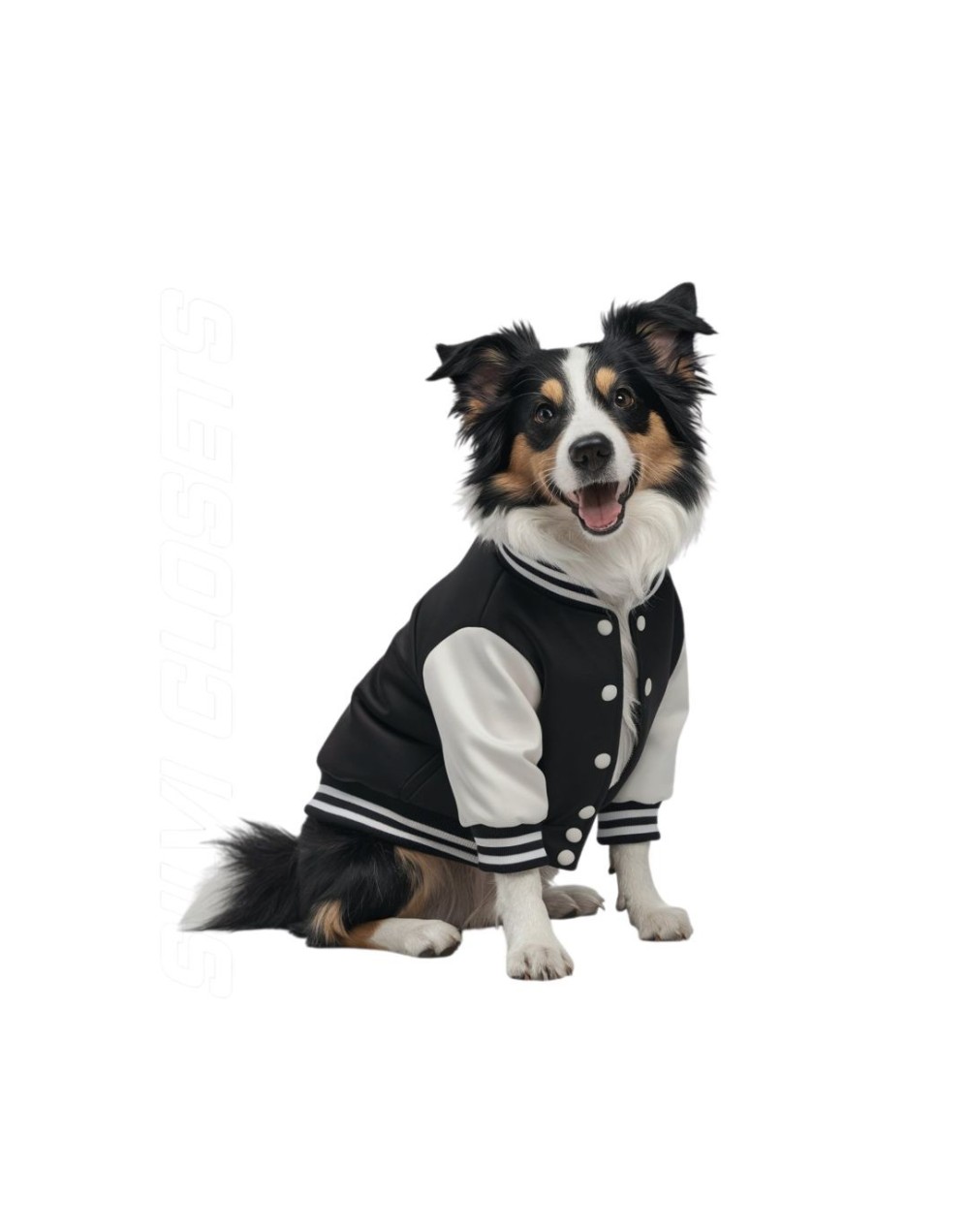 Beisbolera para mascotas