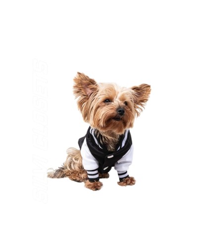 Beisbolera para mascotas