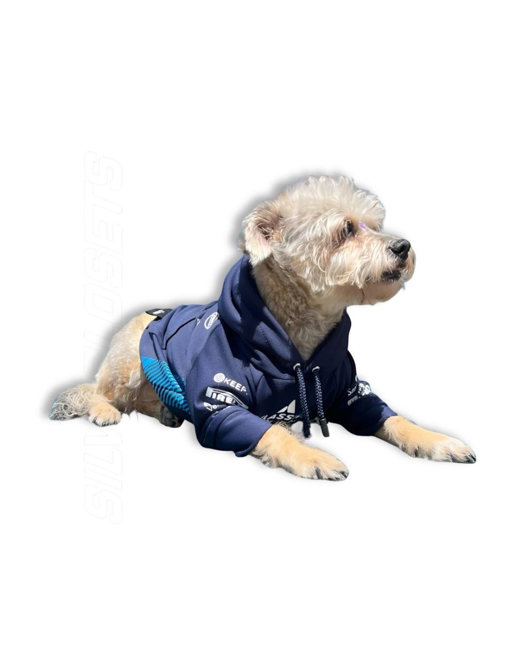 Saco williams para mascotas