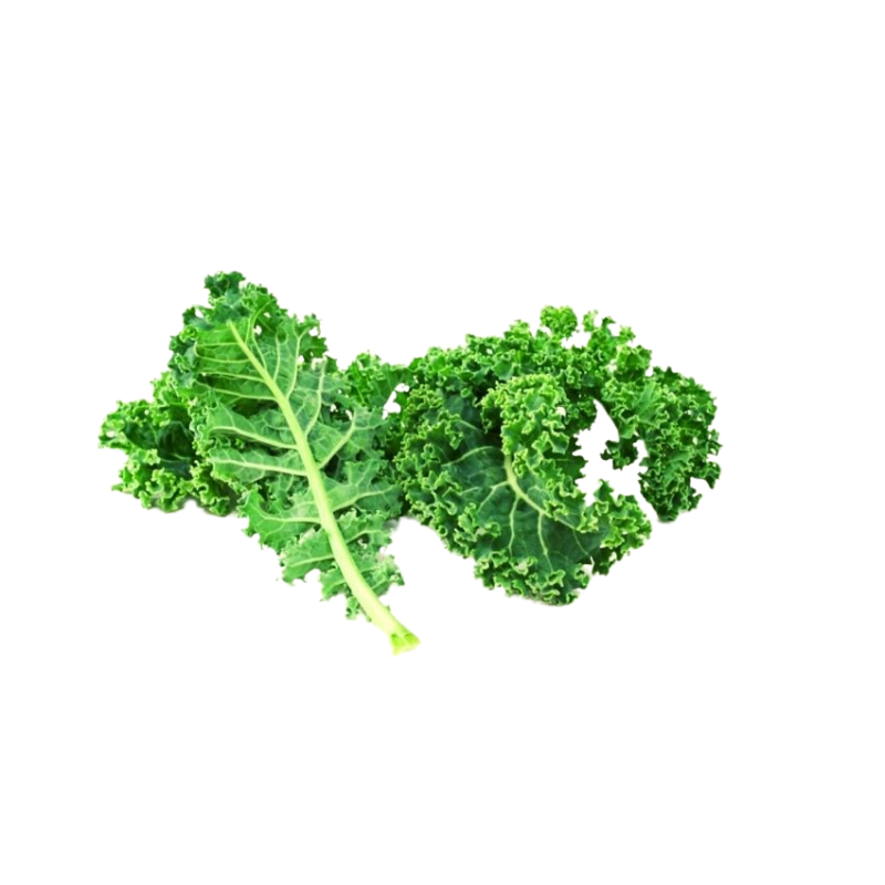 Kale rizado orgánico