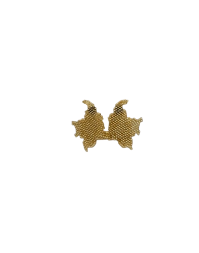 Aretes Mapa Colombia