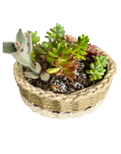 Jardin tejido cordon bajo 