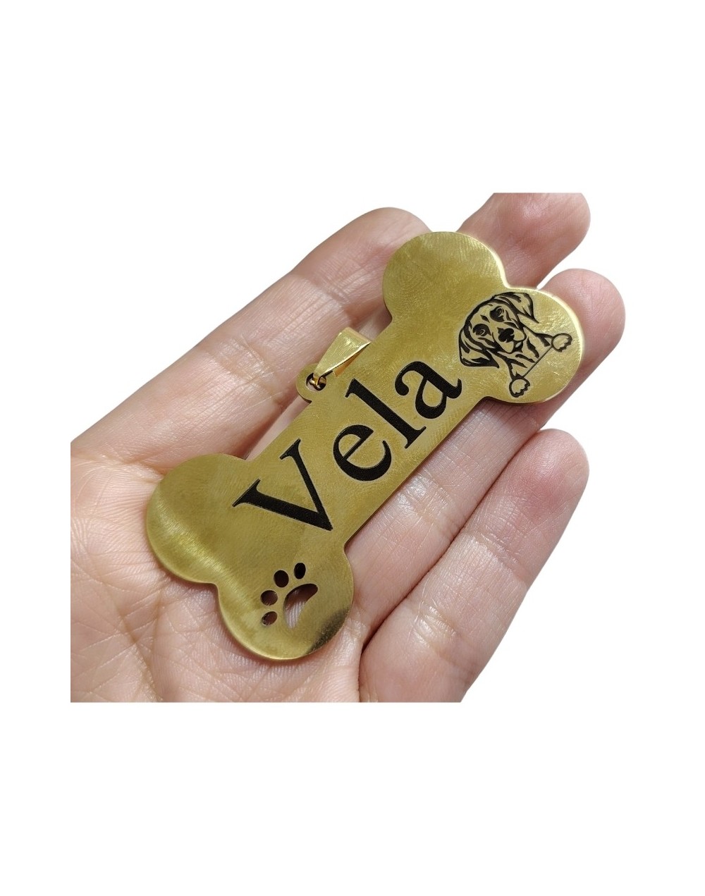 Placas de Identificación para Perros