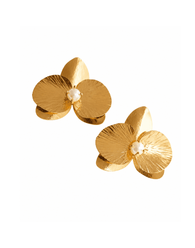 ARETES ORQUÌDEA ETERNA