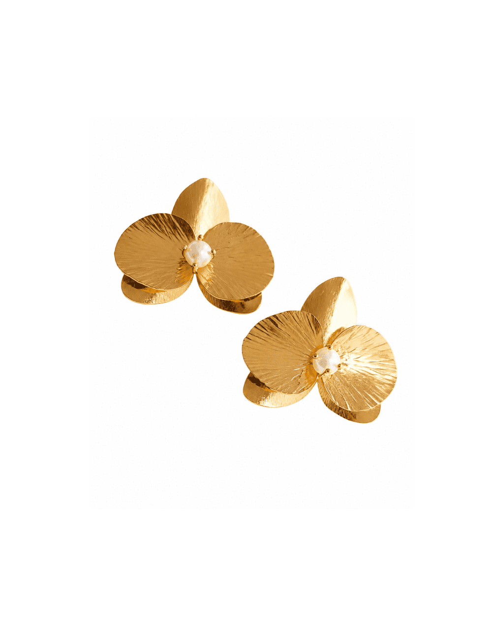ARETES ORQUÌDEA ETERNA
