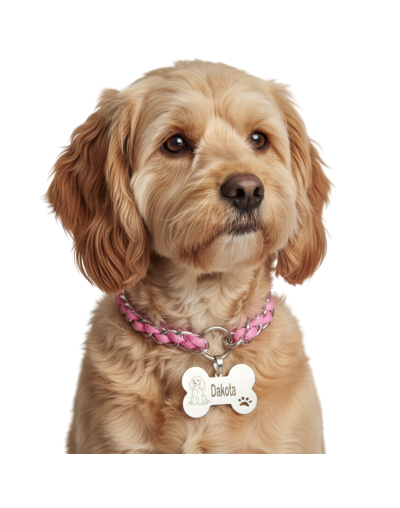 Collar para Perros con Cadena Plateada y Paracord
